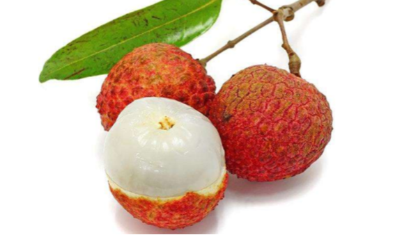 轉(zhuǎn)輪除濕機在荔枝干燥中的妙用